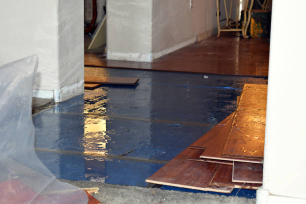 Professional Water Damage Repair technician working in Hertel, WI